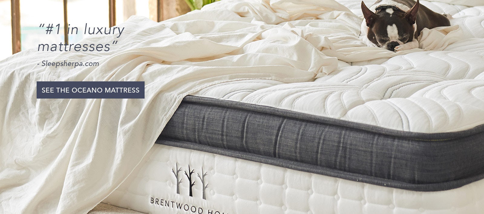 Brentwood Home Artisans of Sleep Mattresses, Pillows and Bedding